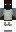 skin of a player