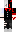 skin of a player