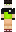 skin of a player