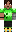 skin of a player