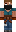 skin of a player