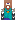 skin of a player