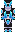skin of a player