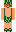 skin of a player