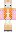 skin of a player