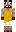 skin of a player