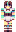 skin of a player