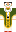 skin of a player
