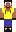 skin of a player