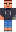 skin of a player
