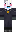 skin of a player