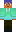 skin of a player