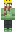 skin of a player