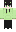 skin of a player