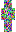 skin of a player