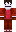 skin of a player