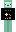 skin of a player