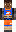 skin of a player