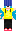 skin of a player