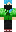 skin of a player