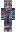 skin of a player