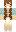 skin of a player