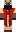 skin of a player