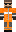 skin of a player