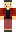 skin of a player