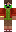 skin of a player