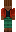 skin of a player