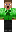 skin of a player