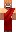 skin of a player