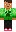 skin of a player