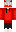 skin of a player