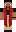skin of a player