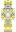 skin of a player