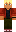 skin of a player