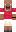 skin of a player