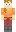 skin of a player