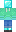 skin of a player