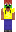 skin of a player