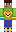 skin of a player