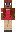 skin of a player