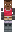skin of a player