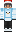 skin of a player