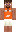 skin of a player