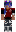 skin of a player