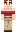 skin of a player