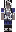 skin of a player
